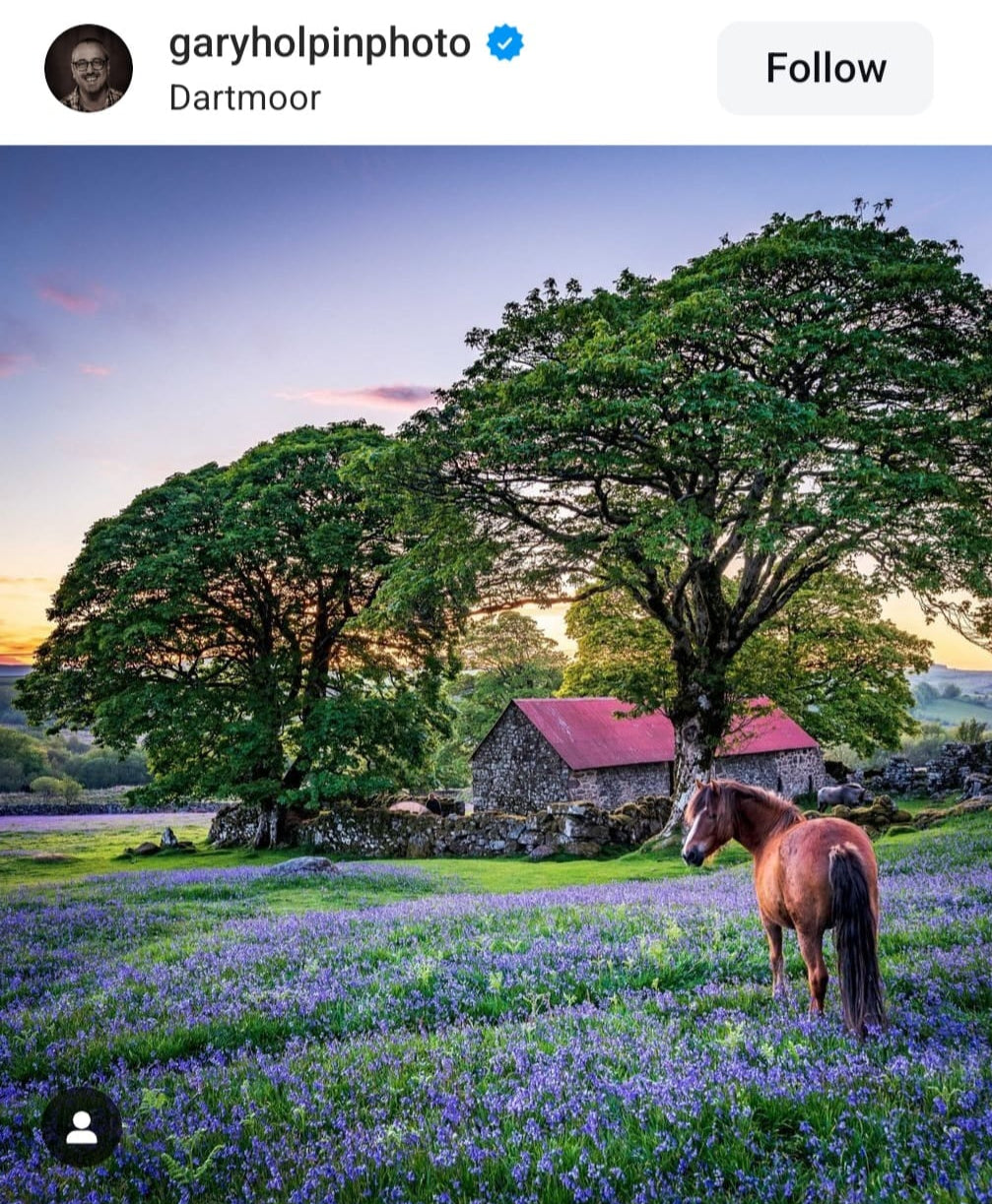 Pure British Wool Blanket Throw | Dartmoor Spring Ombre