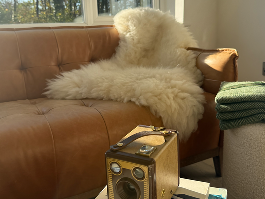 Devon Closewool Sheepskin Rug