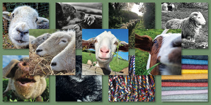 Harwood Farm Greetings Cards (Pack of 11)